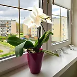 Lejlighed Visit Baltic - Sunny *