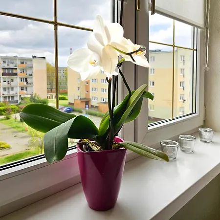 Apartment Visit Baltic - Sunny *
